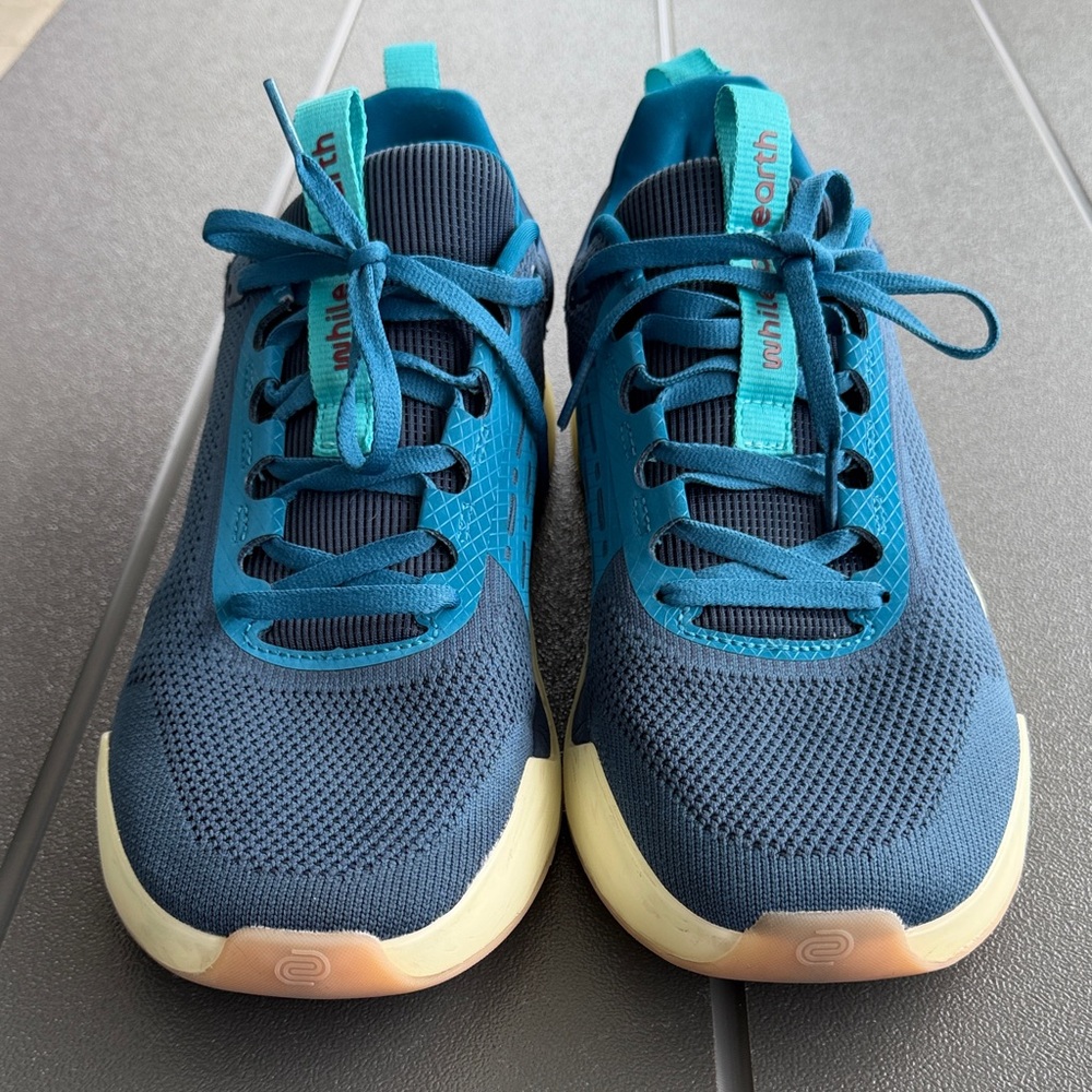 While On Earth Move Trainer